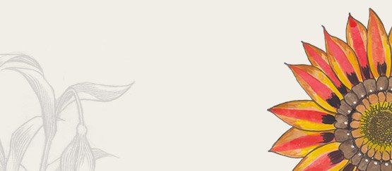 60% ventas futuras son generadas por comentarios